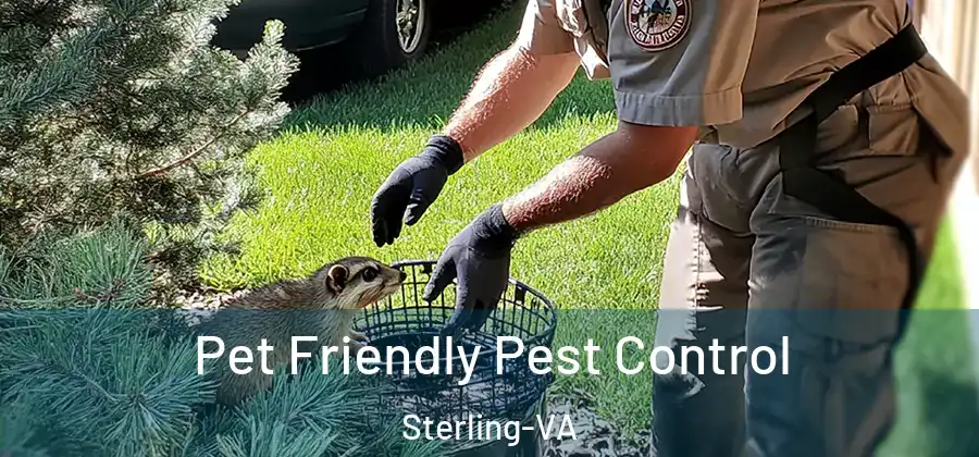 Pet Friendly Pest Control Sterling-VA