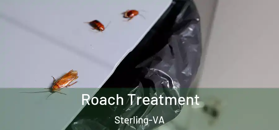 Roach Treatment Sterling-VA