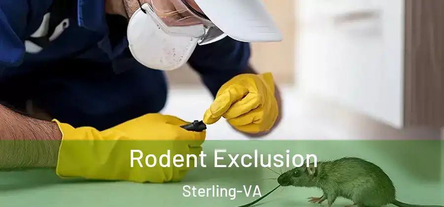 Rodent Exclusion Sterling-VA