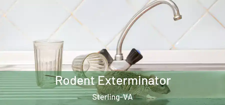  Rodent Exterminator Sterling-VA