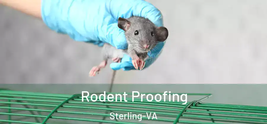 Rodent Proofing Sterling-VA