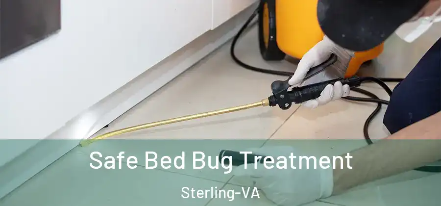 Safe Bed Bug Treatment Sterling-VA