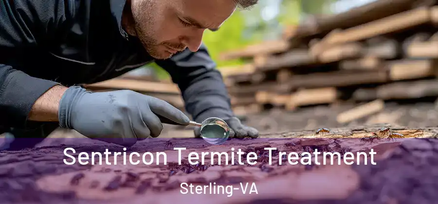  Sentricon Termite Treatment Sterling-VA