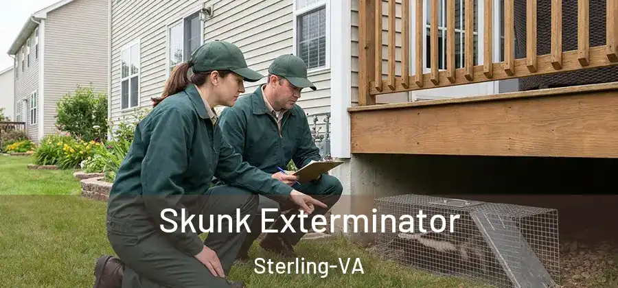 Skunk Exterminator Sterling-VA