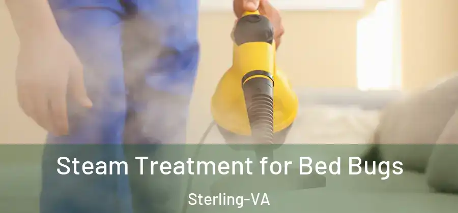  Steam Treatment for Bed Bugs Sterling-VA
