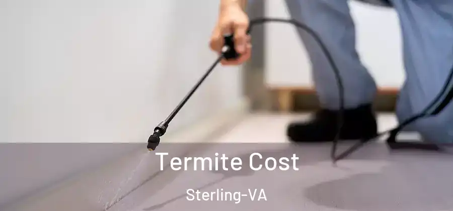 Termite Cost Sterling-VA