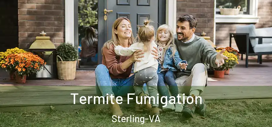  Termite Fumigation Sterling-VA