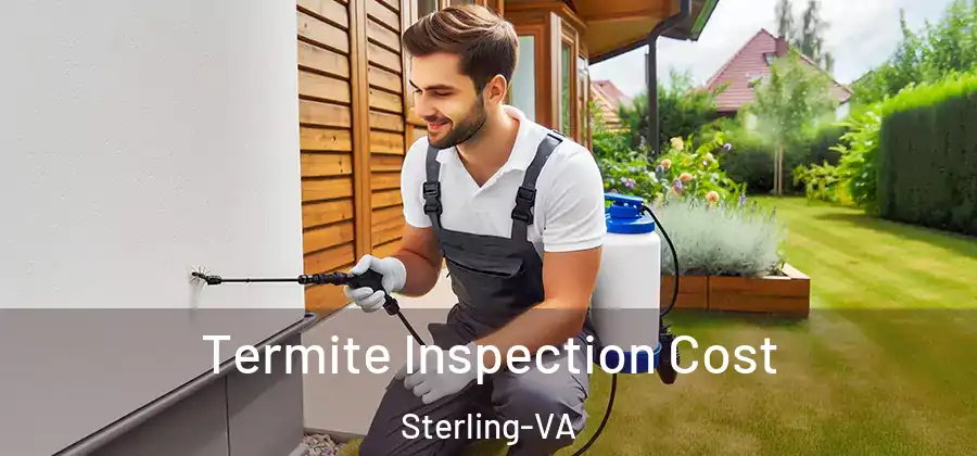 Termite Inspection Cost Sterling-VA