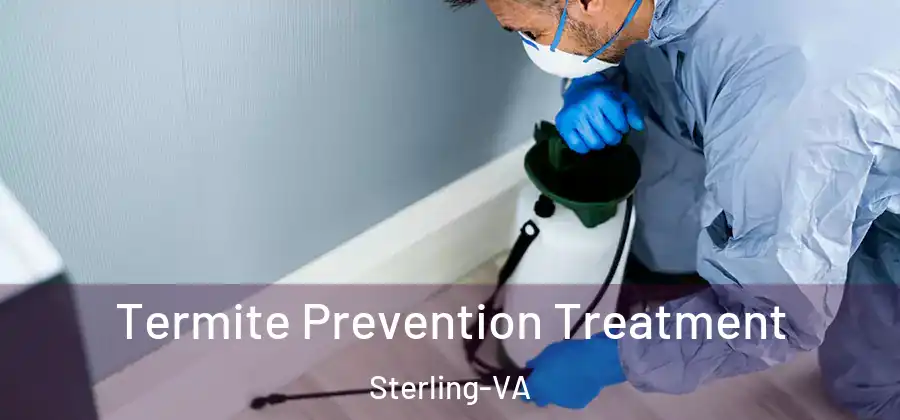 Termite Prevention Treatment Sterling-VA