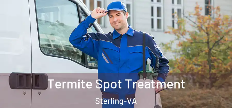 Termite Spot Treatment Sterling-VA