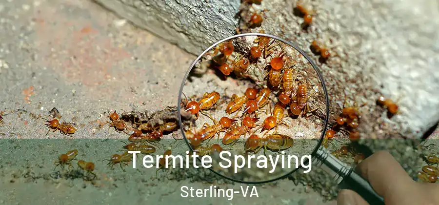  Termite Spraying Sterling-VA