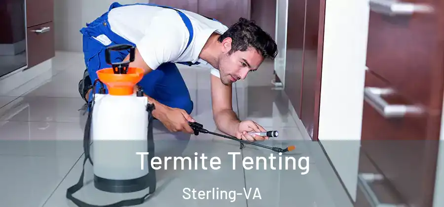 Termite Tenting Sterling-VA