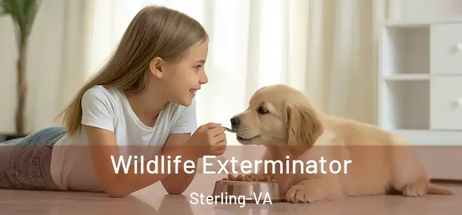 Wildlife Exterminator Sterling-VA