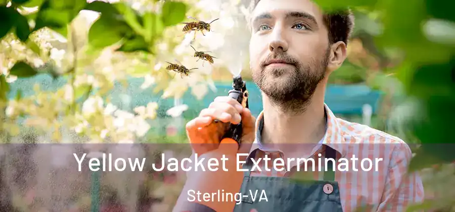 Yellow Jacket Exterminator Sterling-VA